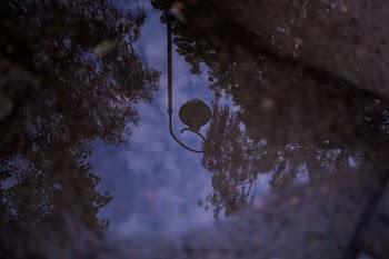 Reflection in the puddle 3