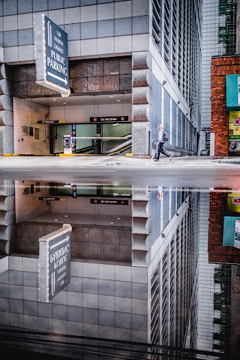 Reflection Of A Building