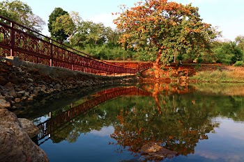 Reflection of a Tree on Body of Water Beside a Bridge Under Calm Blue Sky