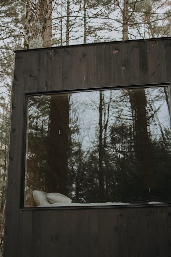 Reflection Of Trees In A Glass Window