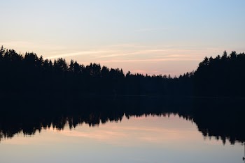 Reflection of Trees on Body of Water during Golden Hour