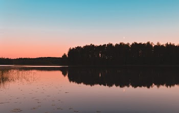 Reflection of Trees on Lake