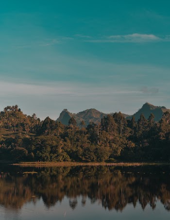 Reflection of Trees on Still Water