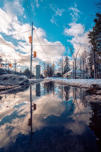 Reflection of Utility Pole on Water