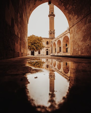 Reflection of White Building on Water Puddle