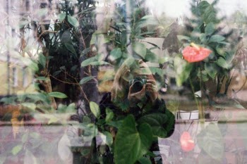 Reflection of Woman with Camera in Store Window · Free Stock Photo