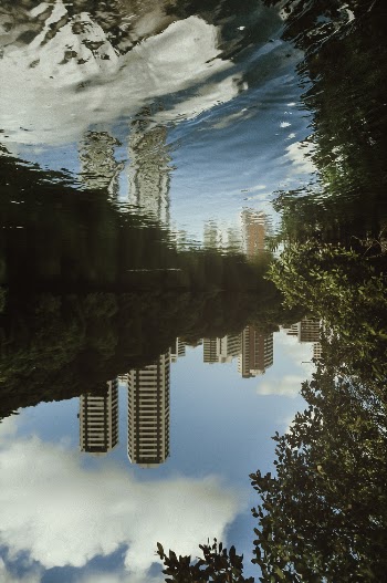 Reflection Photo of River Near Trees