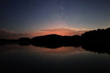 reflection photo of trees
