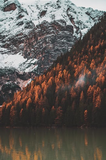 reflections