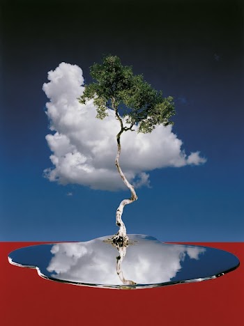 Reflective Tree in Surreal Landscape