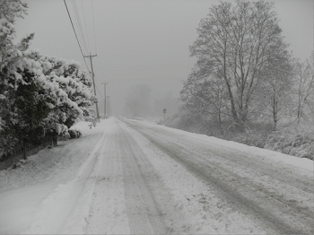 Refusing to Go to Work in Bad Weather | Employee Rights