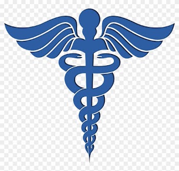 Registered Nurse Nursing Nurse Practitioner Logo Clip - Medical Clip Art