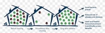Regular Use Of Natural Cleaning Products With Probiotics, - Regular Use Of Natural Cleaning Products With Probiotics,