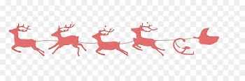 Reindeer