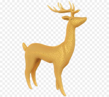 Reindeer