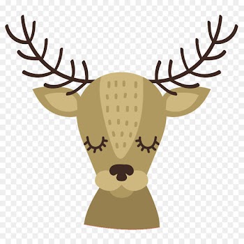 Reindeer Christmas Advent calendar Birthday - Cute reindeer 