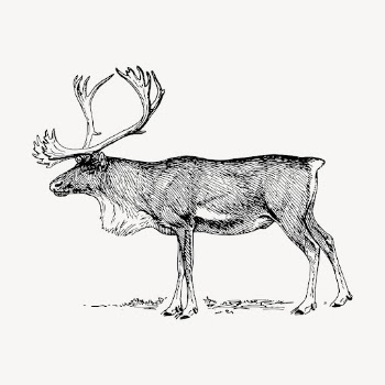 Reindeer clipart, vintage animal illustration | Free Vector - rawpixel
