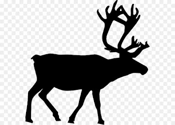 Reindeer, Deer, Santa Claus, Elk PNG
