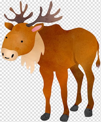 Reindeer Edward Newgate Illustration, White beard transparent background PNG clipart