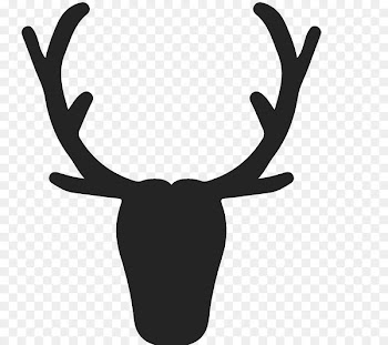 Reindeer Elk Antler Horn - reindeer 