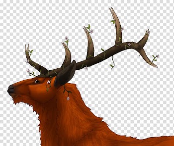 Reindeer Elk Fauna Wildlife, early autumn transparent background PNG clipart