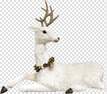 Reindeer Elk, White cute goat transparent background PNG clipart