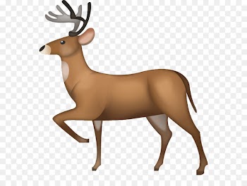 Reindeer Emoji iPhone - Reindeer 
