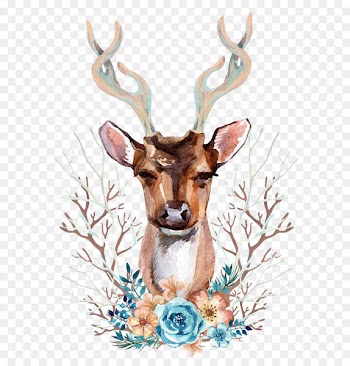 Reindeer Red deer Illustration - Watercolor deer 