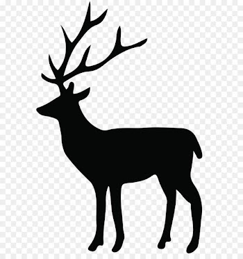 Reindeer Silhouette White-tailed deer Clip art - Deer Silhouette PNG Transparent Clip Art Image 