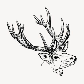 Reindeer stag clipart, vintage illustration | Free Vector - rawpixel