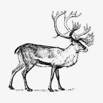 Reindeer stag collage element, vintage | Free PSD - rawpixel