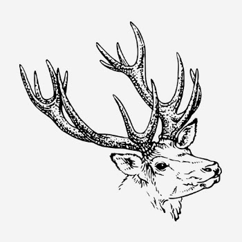 Reindeer stag hand drawn illustration. | Free Photo - rawpixel