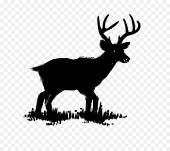 Reindeer, Television, China, Elk PNG