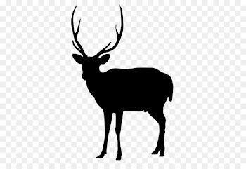 Reindeer Vector graphics Computer Icons Illustration -  
