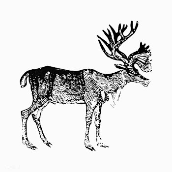 Reindeer vintage style | Free stock vector - 556917