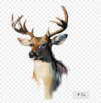 Reindeer White-tailed deer Flower bouquet - water color 