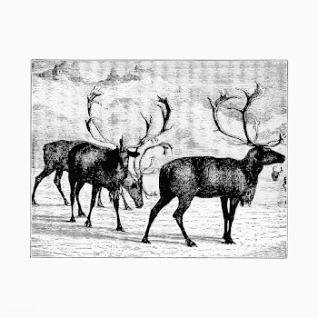 Reindeers vintage artwork | Free stock vector - 571429