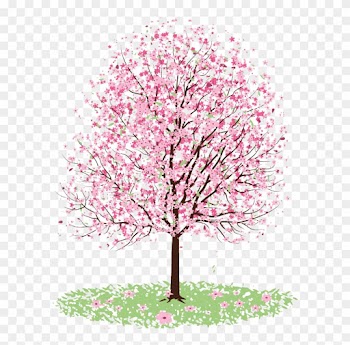 Related Categories - Cherry Blossom Tree Coloring