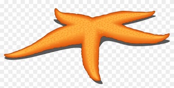 Related Clip Art - Starfish Cliparts