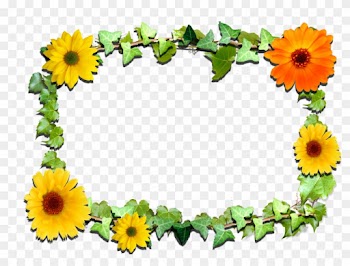 Related Clipart - Sunflower Frame Transparent