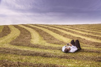 Relaxing in Farm Field Free Photo 