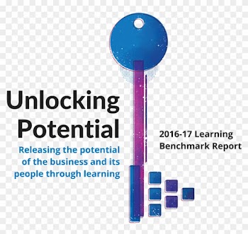 Releasing The Potential Of The Business And Its People - Organization