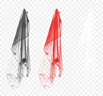 Religious Veils, Fascinator, Bride, Pink, Fashion Accessory PNG