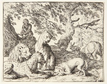 Renard tells the lion a lie | Free Photo - rawpixel