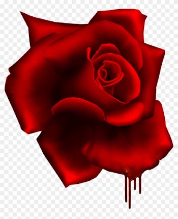 Render Rose Terreur Rouge Sang Nature Autresinconnu - Floribunda