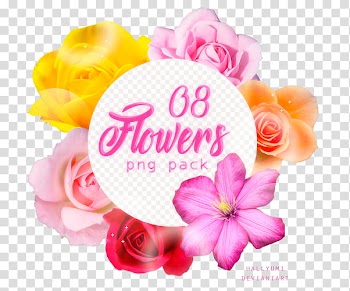 RENDERS Flowers, pink, red, and yellow flowers illustration transparent background PNG clipart