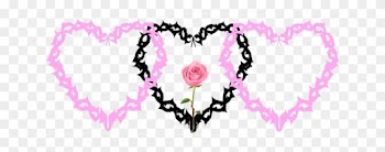Report Abuse - Garden Roses