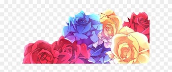 Report Abuse - Garden Roses