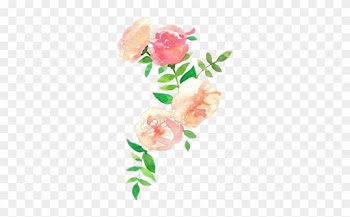 Report Abuse - Peach Watercolor Flowers