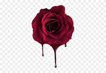 Report Abuse - Wine Rose Flower Png